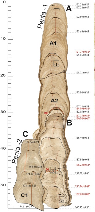 image sample
