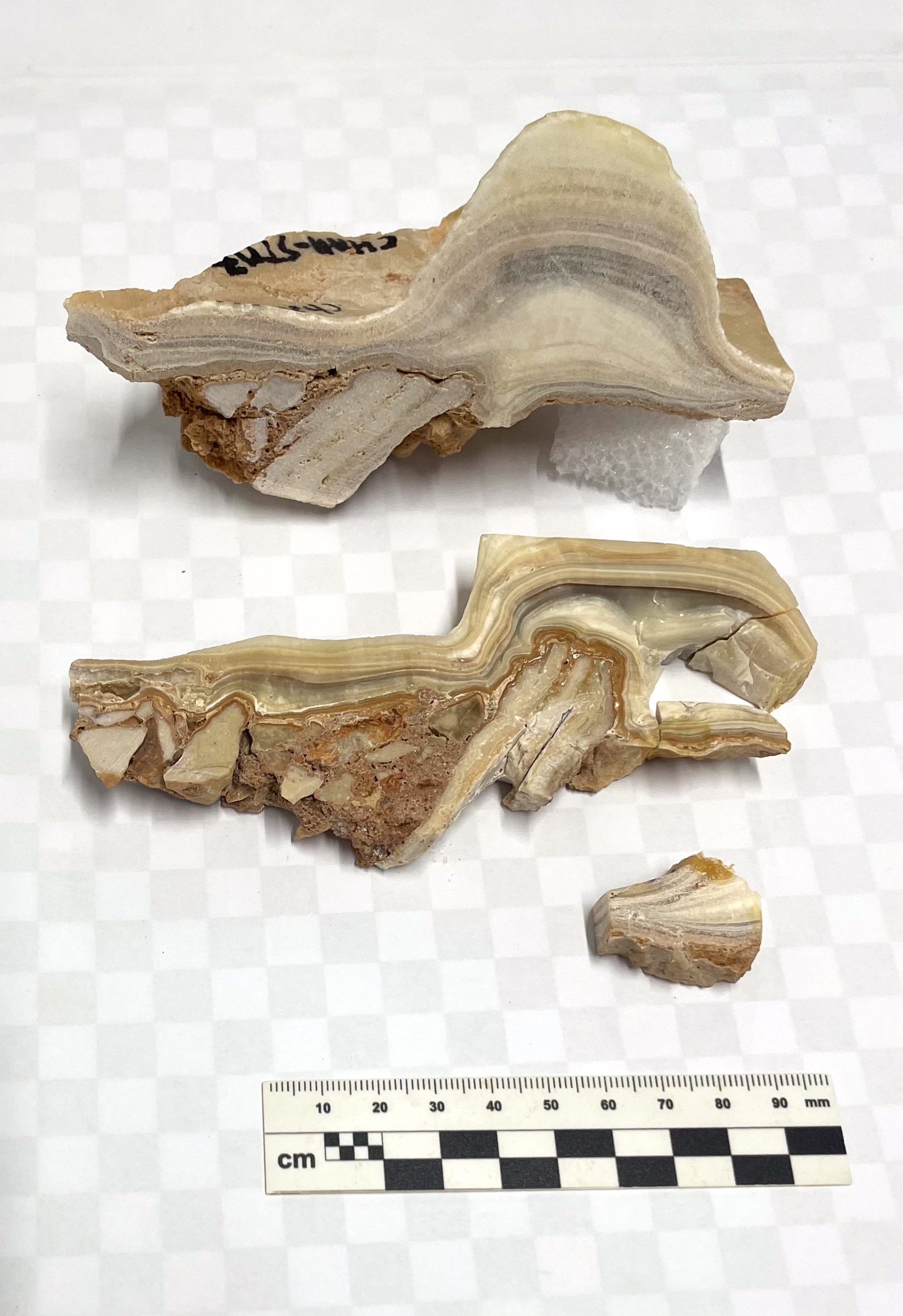 image sample