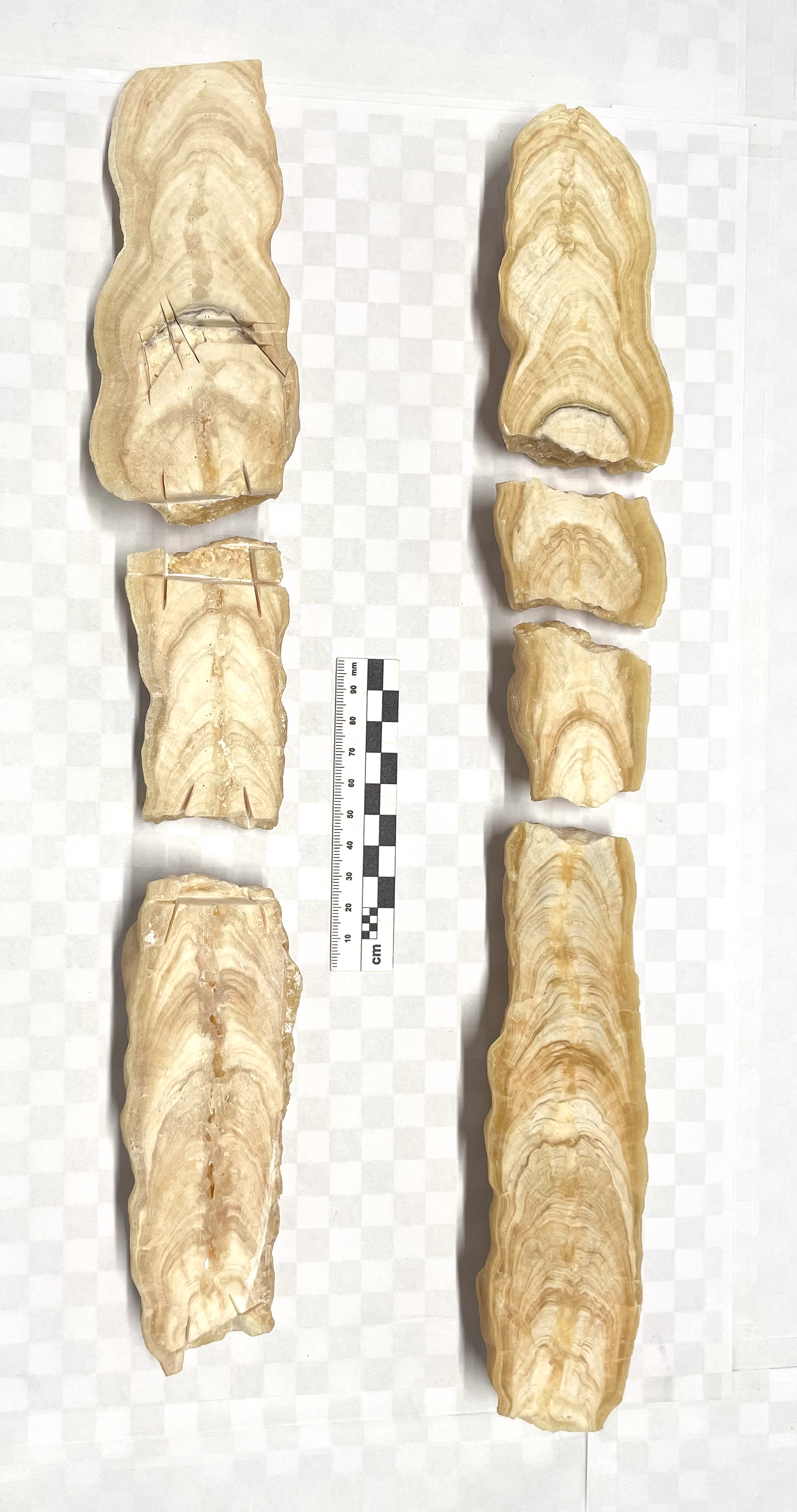 image sample