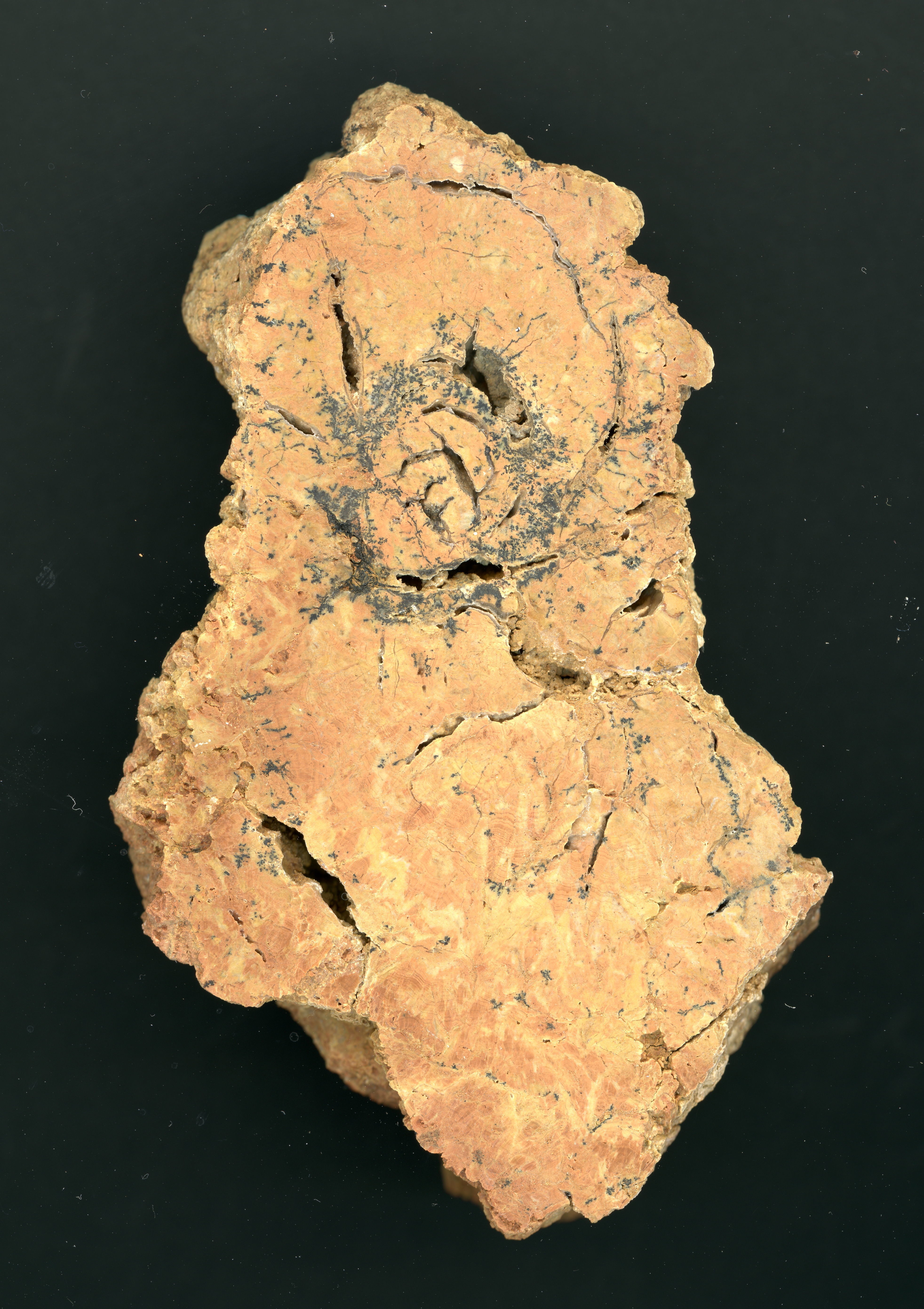 image sample