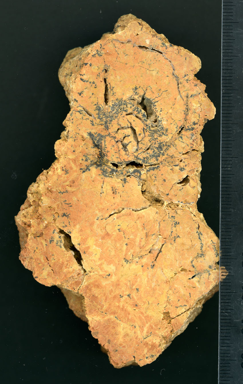 image sample