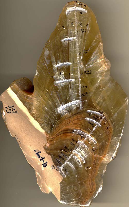 image sample