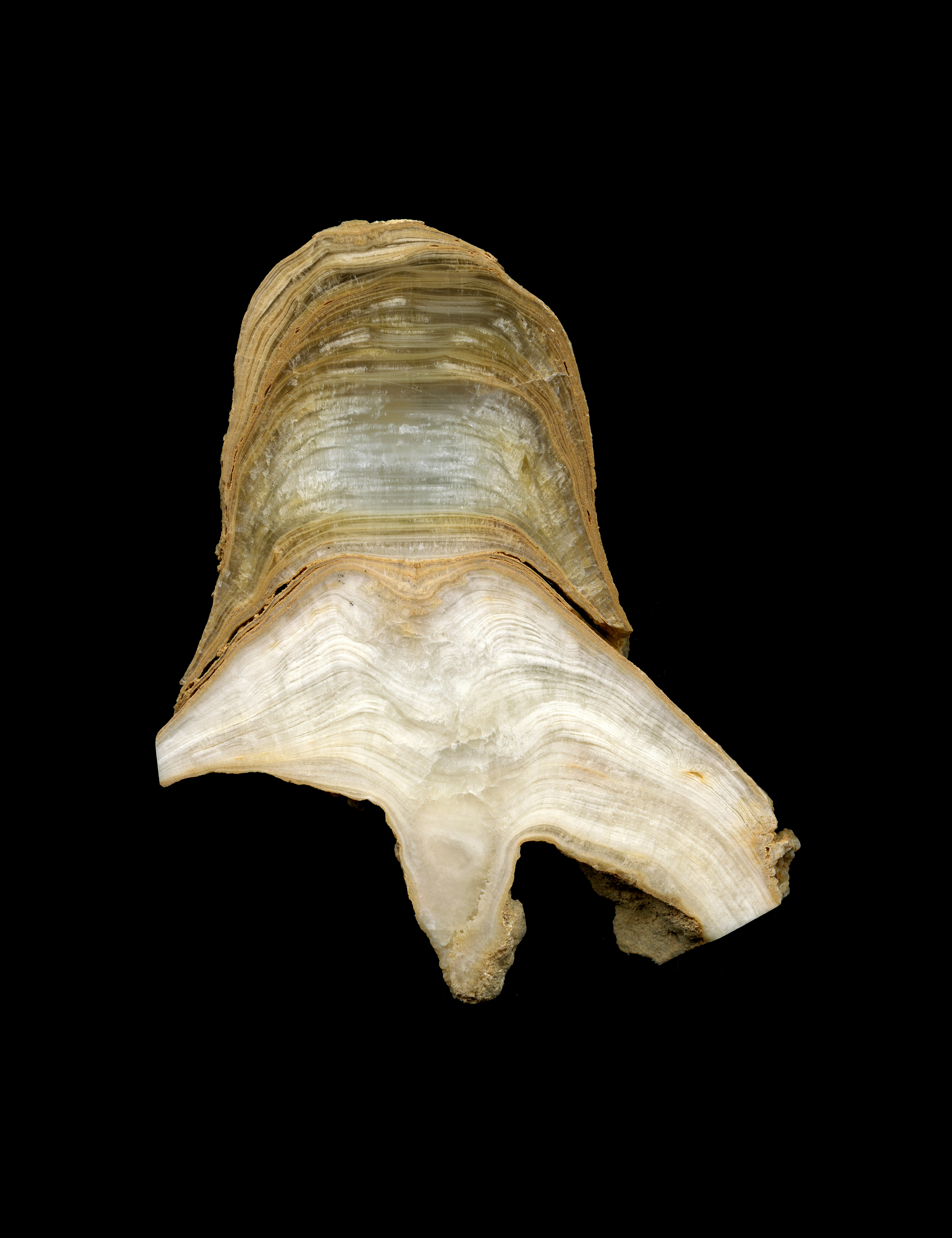 image sample