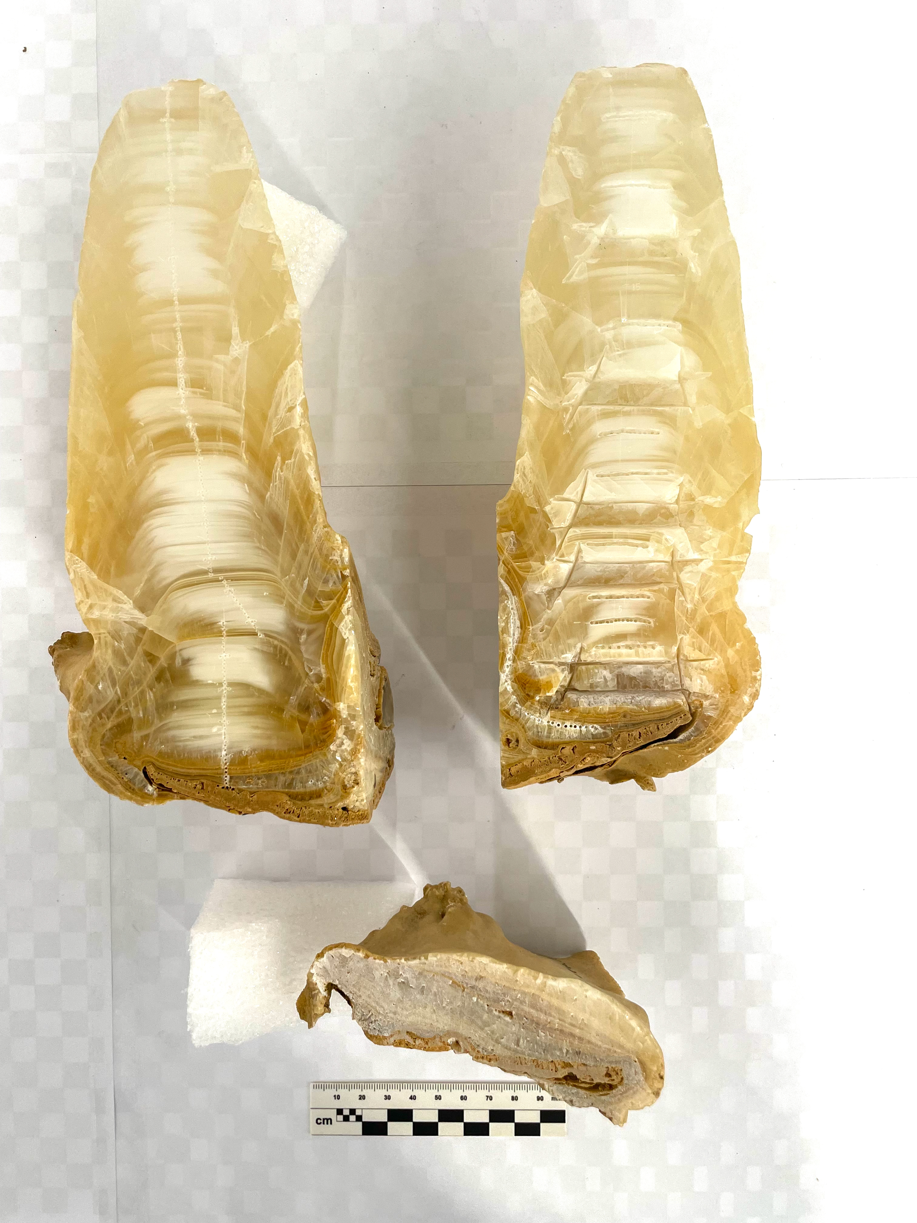 image sample