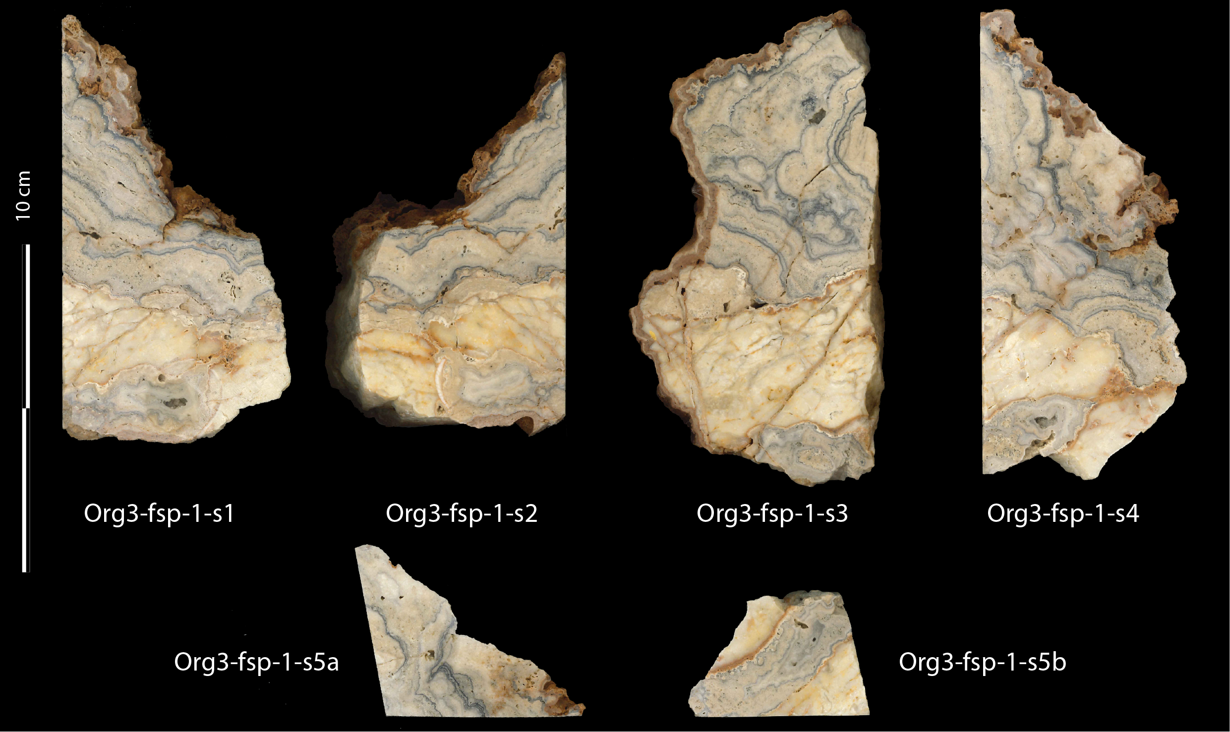 image sample