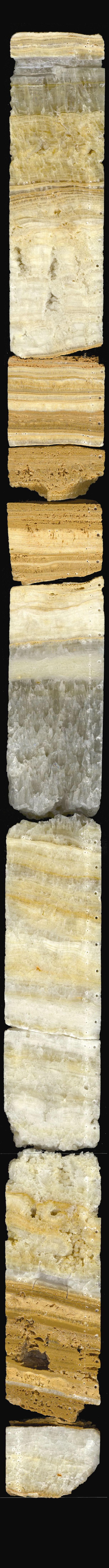 image sample