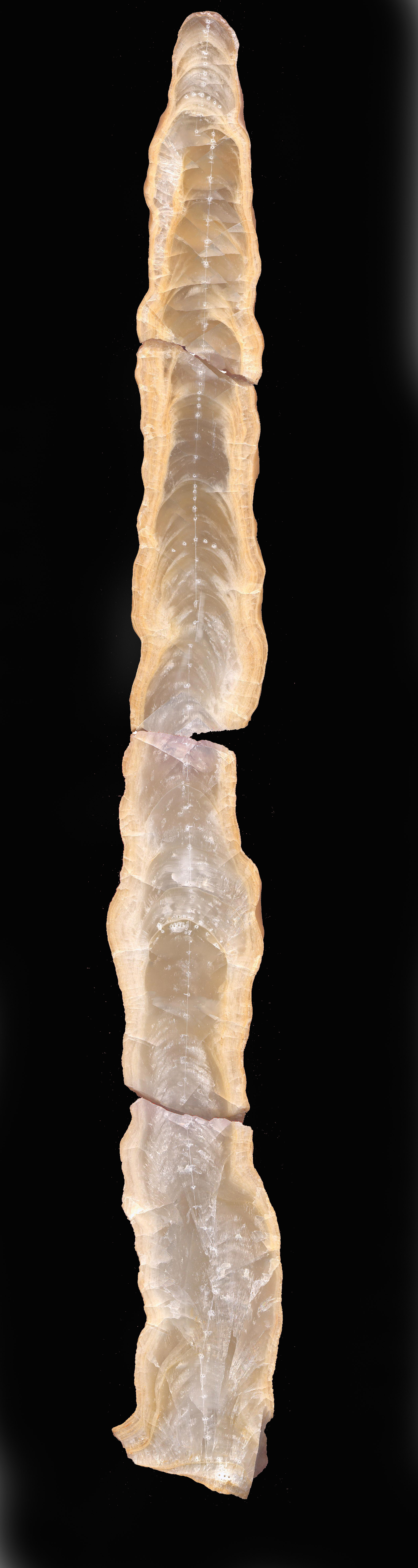 image sample