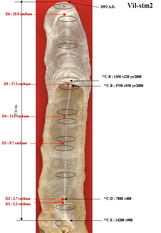 image sample