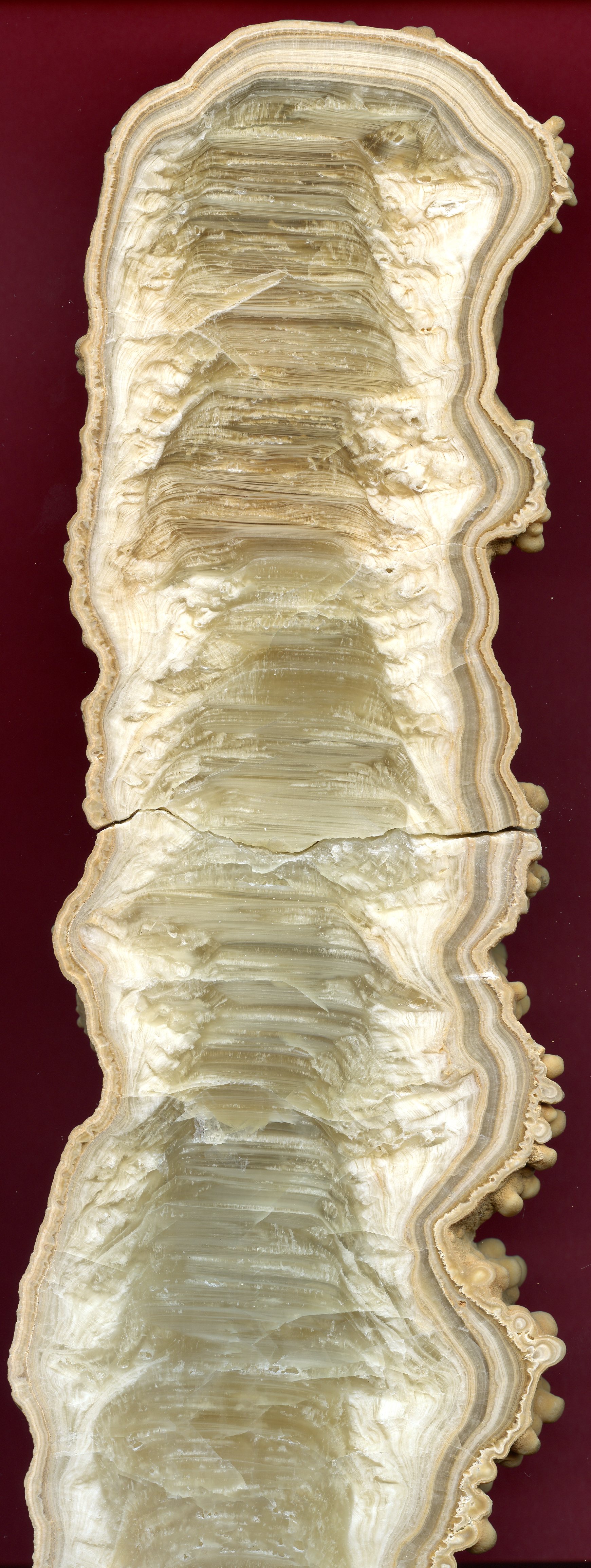 image sample